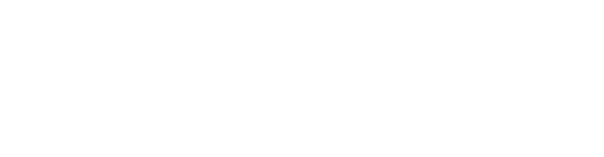 Young Changemaker's logo - white turtle on a grey background